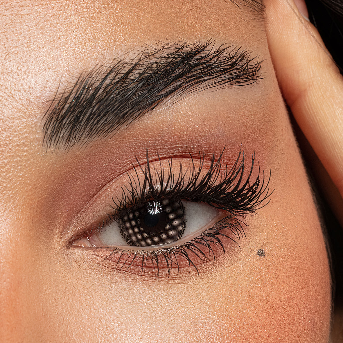 Amara Lenses عدسات أمارا الشهرية