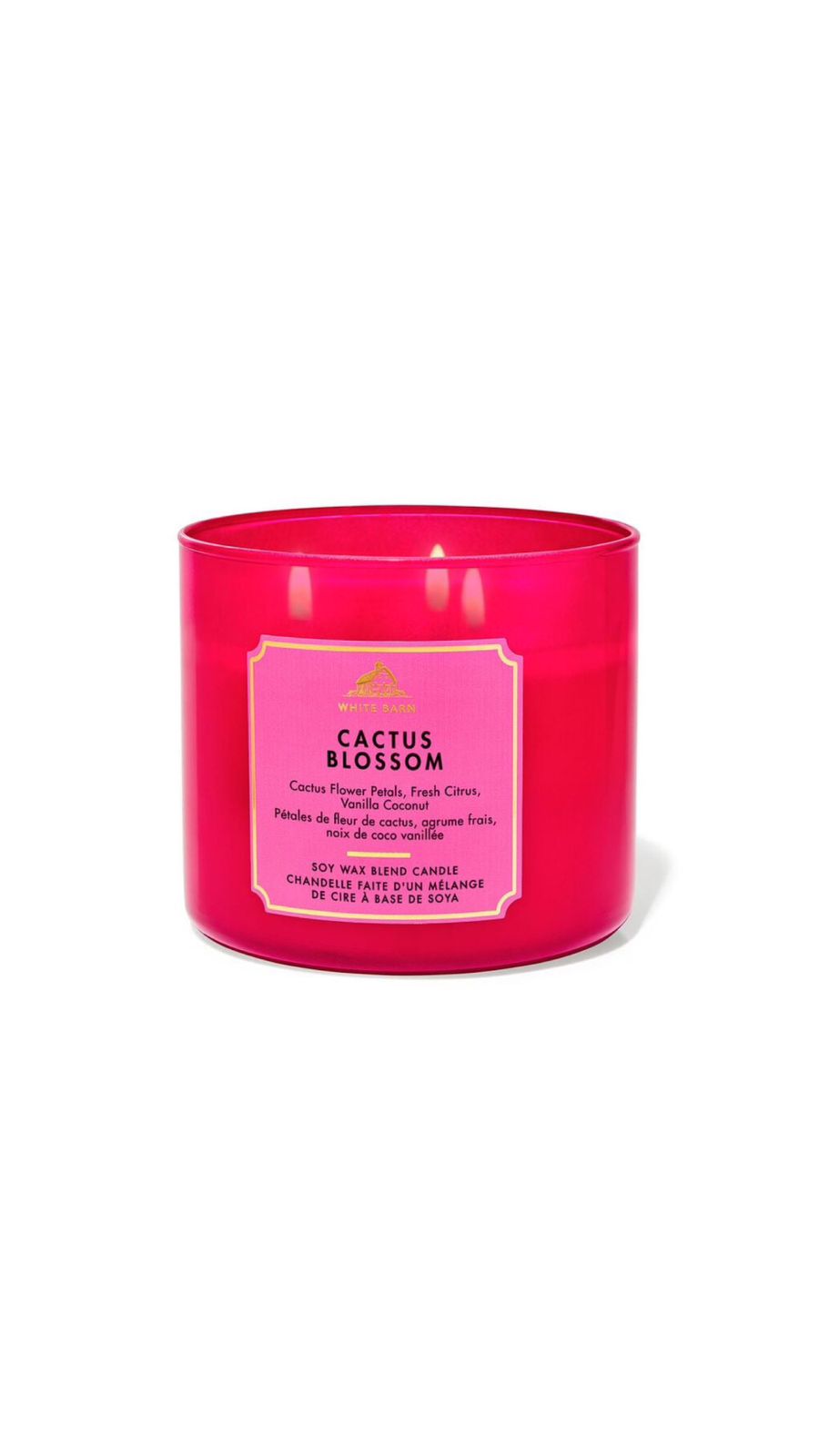 BATH & BODY WORKS Cactus Blossom 3-Wick Candle شمعة بثلاث فتائل من باث آند بودي وركس