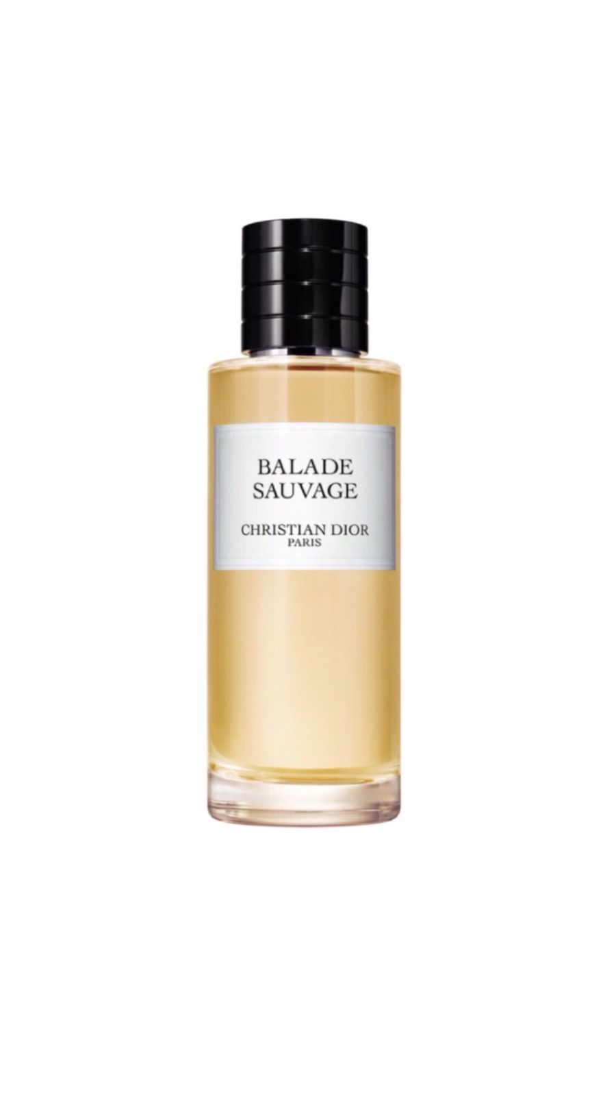 DIOR CHRISTIAN DIOR PARIS BALADE SAUVAGE 250ml عطر للجنسين من كريستيان ديور