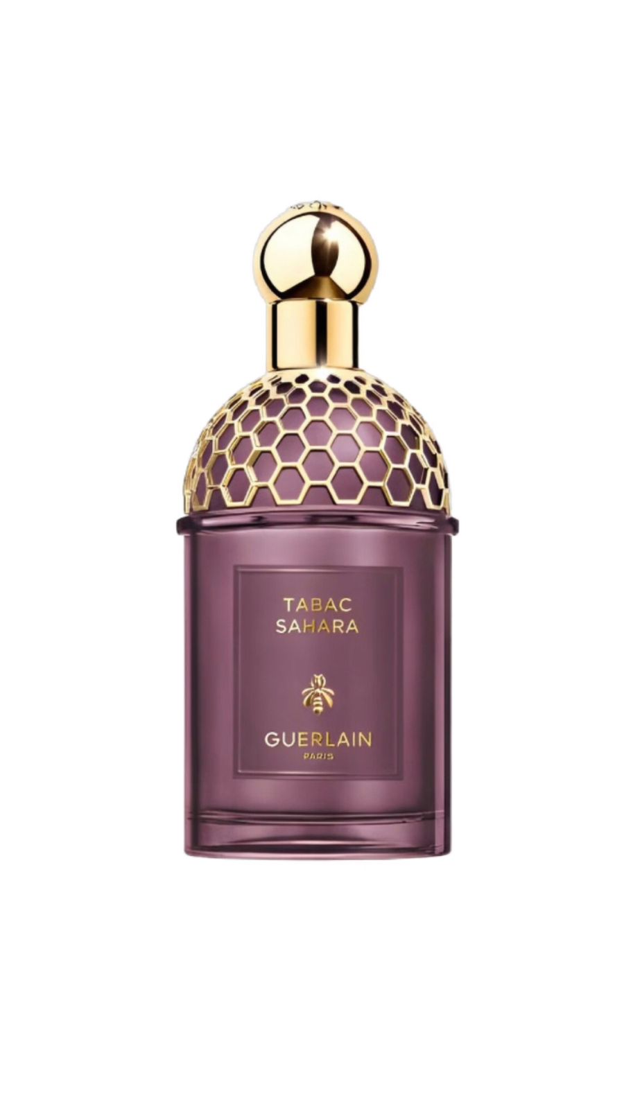 GUERLAIN ABSOLUS ALLEGORIA TABAC SAHARA EAU DE PARFUM 125ml گرلاين عطر للجنسين