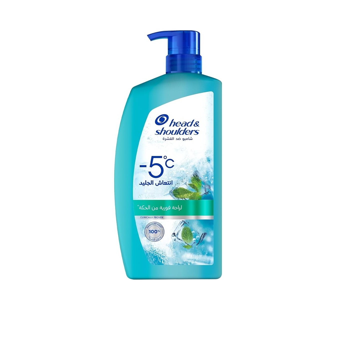 HEAD & SHOULDERS Anti-dandruff Shampoo - Ice Fresh 1000ml هيد اند شولدرز شامبو مضاد للقشرة 