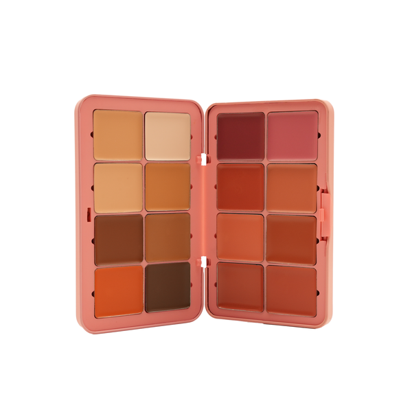 CHRISTINE Face Essentials Palette  كريستين باليت متكامل للوجه